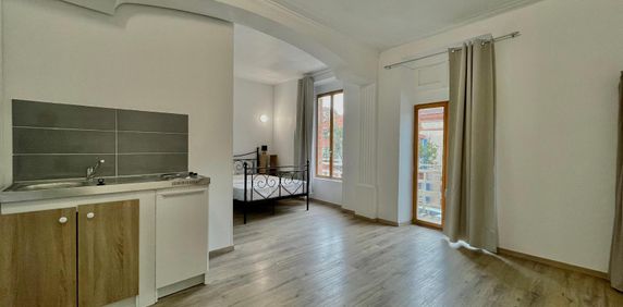 Location Appartement 1 pièce 28m² ALBI 81000 - Photo 2