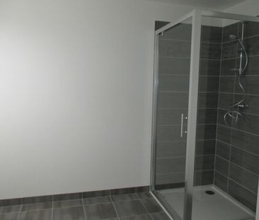 Location Appartement 2 pièces 41m² ST JEAN DE BRAYE 45800 - Photo 5