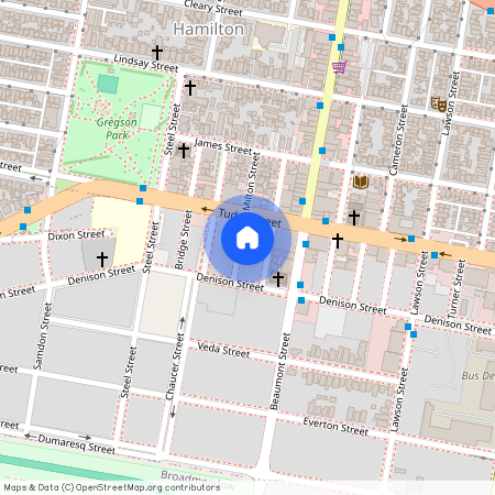 17 Milton Street, NSW 2303, Hamilton