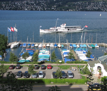 3.0-Zimmerwohnung mit Blick auf den Zürichsee - Photo 4