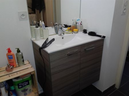 Location Appartement 1 pièce 24m² - Photo 3