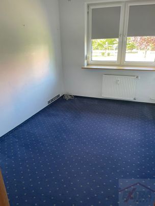 MIESZKANIE na WYNAJEM SZCZECIN (435933) - Zdjęcie 1