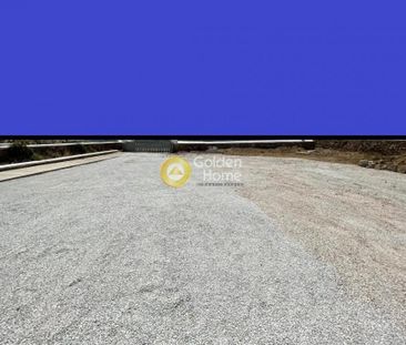 Μονοκατοικία για ενοικίαση Καλαφάτη (Μύκονος) - Photo 4