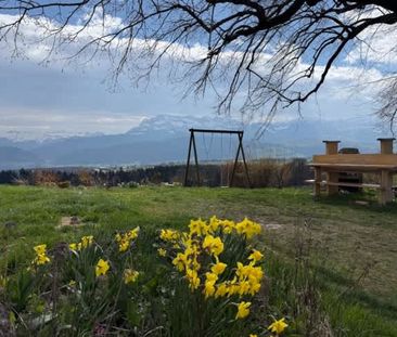 3.5 Zimmer, 100 m², 2. Stock - Foto 4