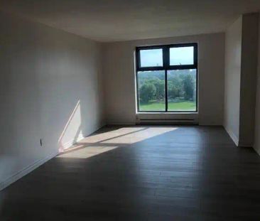 Rideau East Apartments — Newly renovate two bedroom unit at steps away from the Lees station - Photo 2