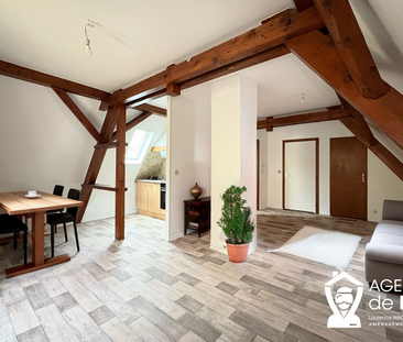 Location Appartement 1 pièce 31m² SELESTAT 67600 - Photo 1