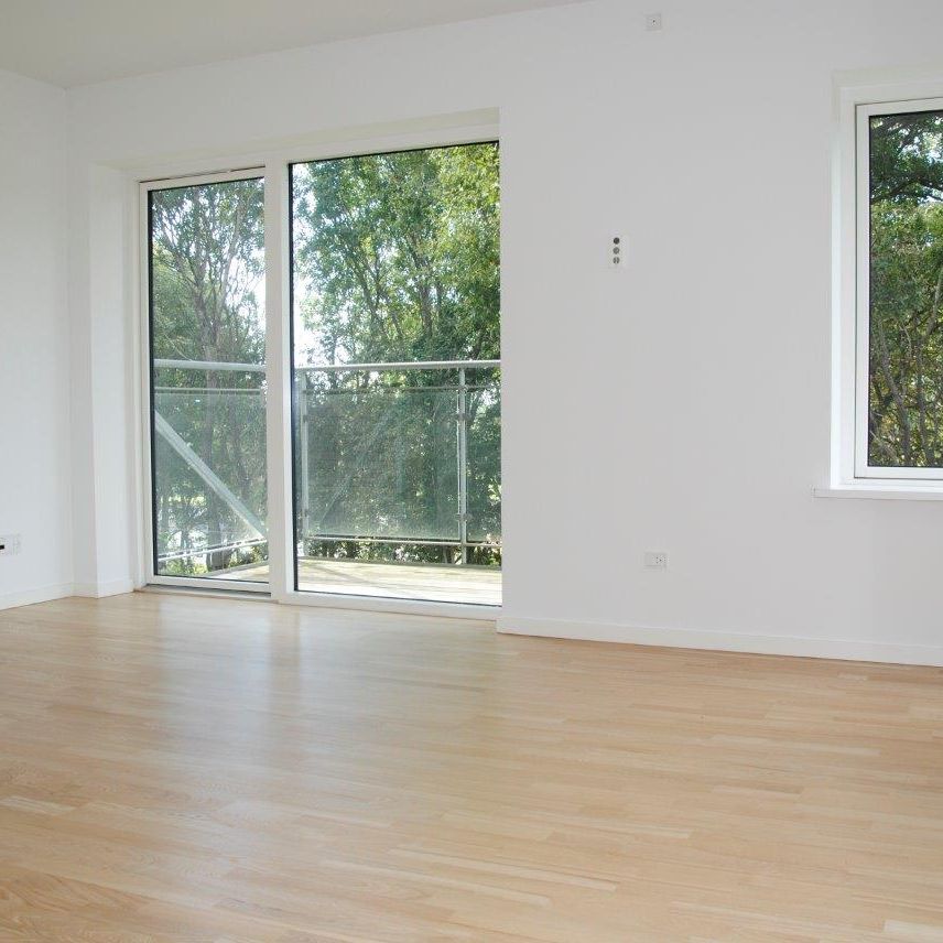 Møgelparken - Foto 1