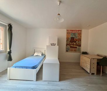 Location Appartement 1 pièce Meublé 23m² NANTES 44100 - Photo 4