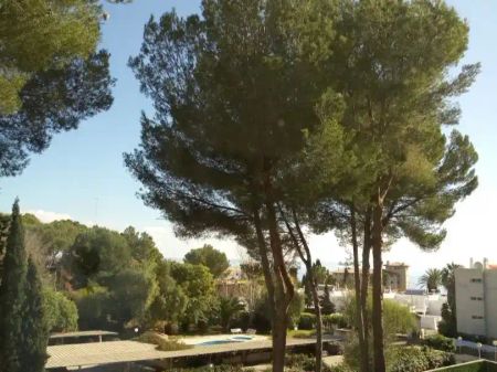 Calvià - Photo 3