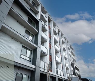 20360 Logan Avenue apartment — Langley, BC (1-Bedroom) - 1 Bedroom - Photo 1