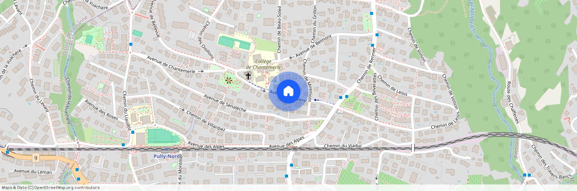 1009, Pully, Avenue de l'Avenir