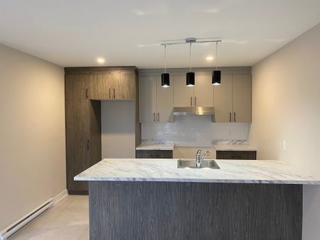 520 Rue St-Armand, apt. 1-2-3 - Photo 5