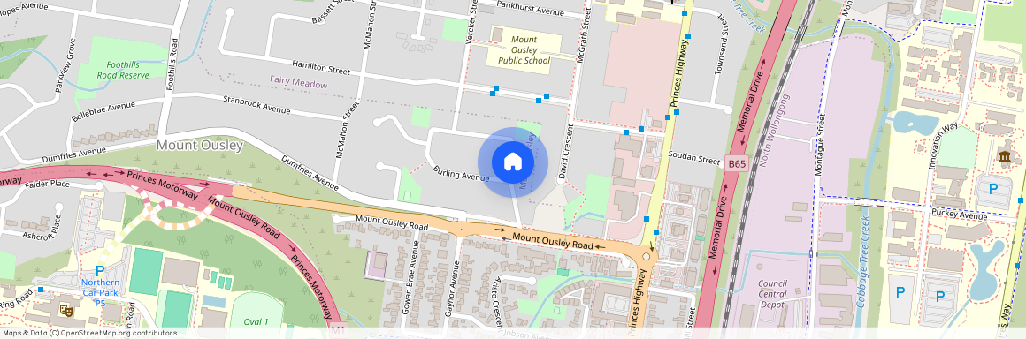 Fairy Meadow, 2519, New South Wales