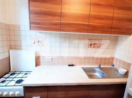 1 camera, 25 mp, Pet Friendly, zona strazii Septimiu Albinii - Fotografie 5