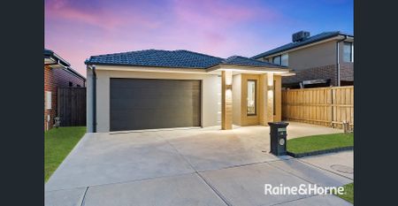 Stunning 4 Bedroom House in Clyde North! - Photo 5