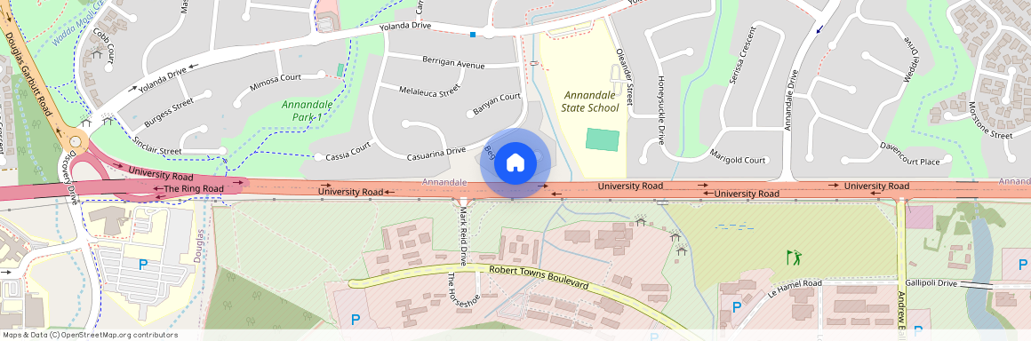 12 Begonia Court, Annandale QLD 4814