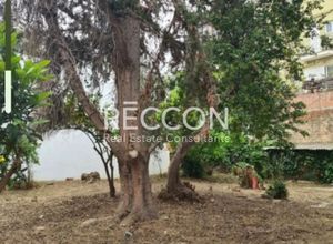 Μονοκατοικία για ενοικίαση - Μαρούσι, - Photo 1