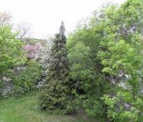 Walters Close, Eastwood - Photo 1