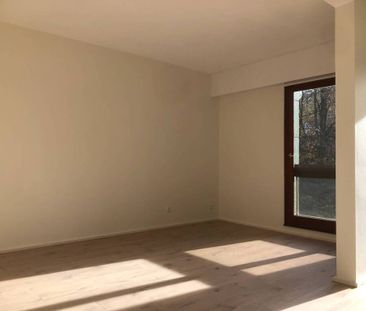 Location Appartement 2 pièces 68m² ANNECY 74000 - Photo 3