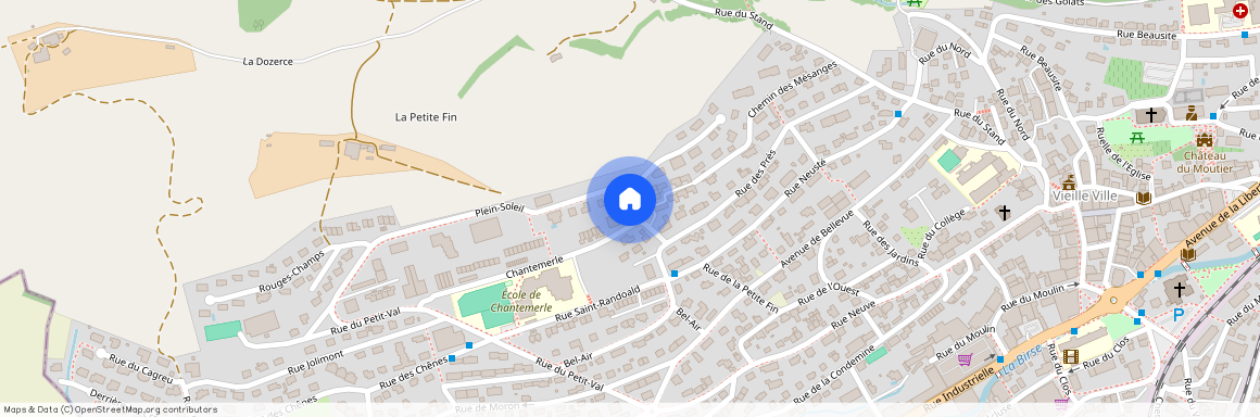 2740, Münster (BE), Chantemerle, 55