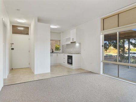 Neat and Convenient One-Bedroom Unit in Central Lavington - Photo 3