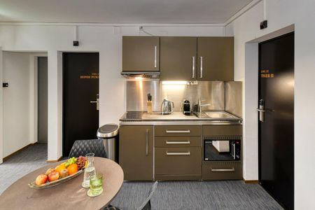 neu renoviertes, möbliertes Apartment "Tiger II" in Emmenbrücke - Photo 4