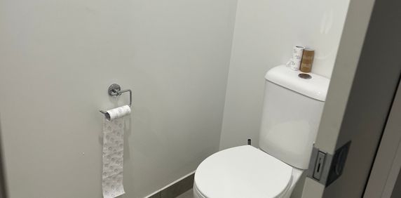 Springvale - Photo 2