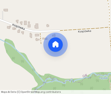 Luksusowy dom Mogilany Parkowe - Photo 1