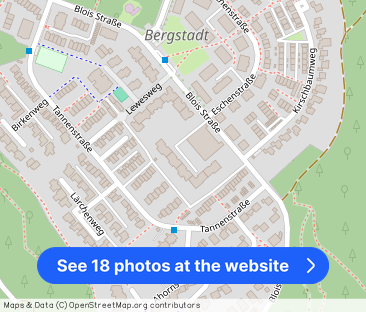 Großzügige 4,5-Zimmer-Wohnung im Erdgeschoss – ruhig gelegen - Photo 1