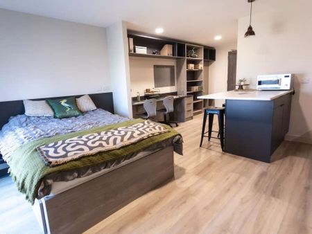 Penthouse Deluxe Studio - Photo 4