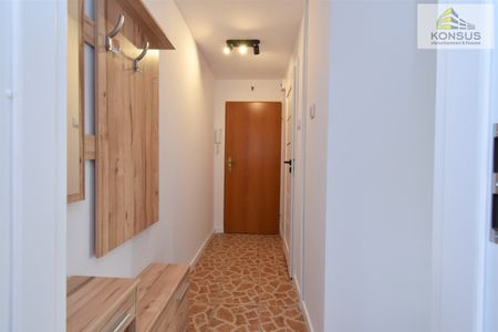 Kielce, Sady, Nowy Świat - Photo 2