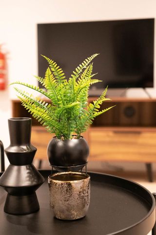 Wetmore Road - Photo 3