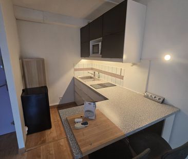 Appartement T2 meublé en location à Toulouse - Photo 5