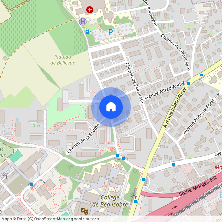 chemin de la grosse pierre, 1110 Morges