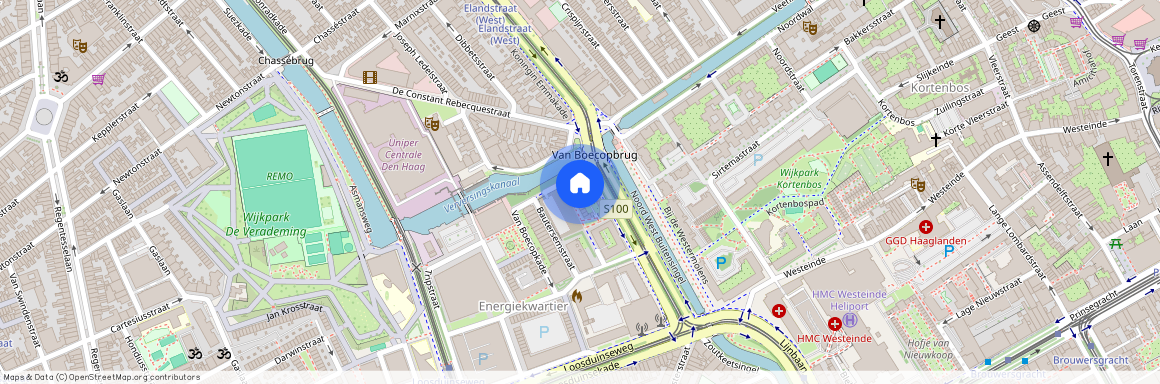 Van Boecopkade, 26, 's-gravenhage