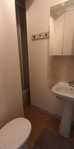 Location Appartement 1 pièce 16m² TOURS 37000 - Photo 4
