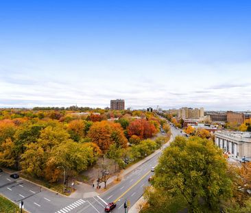 Appartements à louer PLATEAU / CENTREVILLE - Photo 4