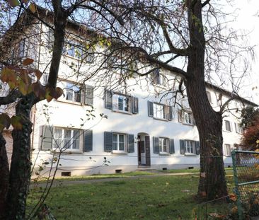 Nahe Gartenstadt - Schöne 3-Zimmerwohnung in Münchenstein - Foto 6