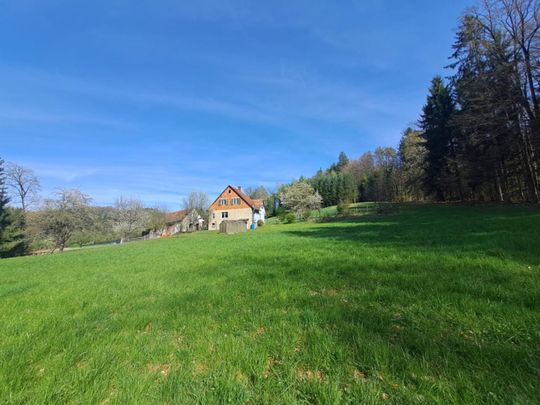 Landwirtschaft Nähe Graz mit Mietkaufoption - Ideal für Pferdehaltung! - Photo 1