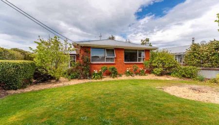 Sunny 3-Bedroom Home in a Great Location - Photo 4