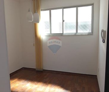 Apartamento em Santo Antônio para Alugar: 3 Dorms - Photo 4