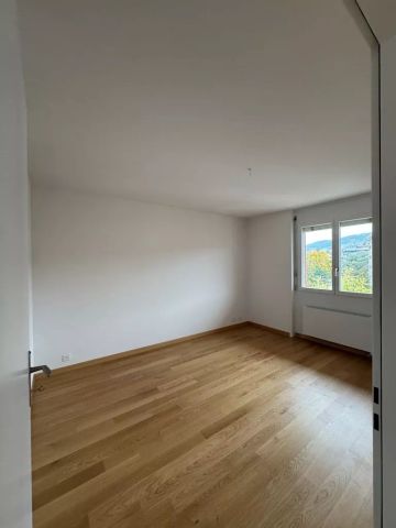 Joli 2 pièces proche du lac en cours de rénovation - Photo 3