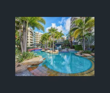 Tropical Resort Lifestye Living in the Heart of Fortitude Valley - Photo 6