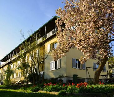 3.5 Zimmer, 64 m², 1. Stock - Foto 3