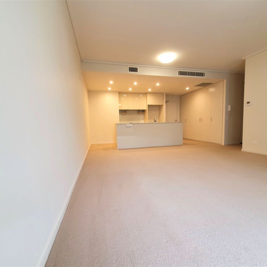 5501//1 Neild Avenue, Greenwich NSW 2065 - Apartment For Rent | Domain - Photo 1
