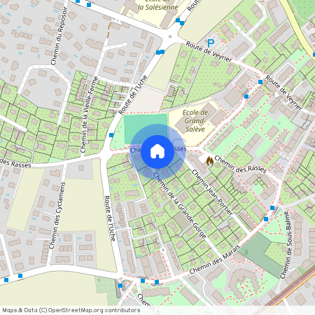 chemin des Rasses 88A, 1255 Veyrier