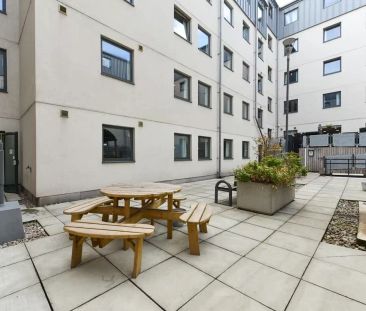 Studio Deluxe - Photo 4