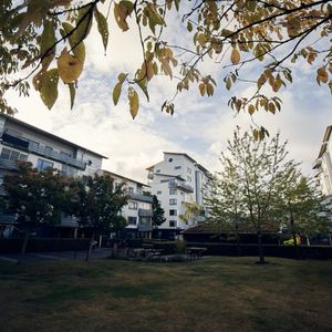 Sven Brocks gata 8 A - Photo 3