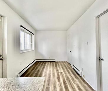 1 CH - 1 SDB - Montréal - $1,450 /mo - Photo 4