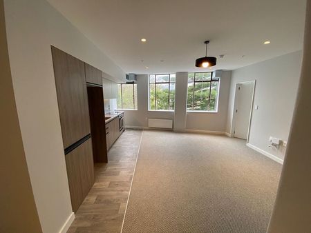 Modern 2bedroom Apt in Hutt Central & Pet Friendly - Photo 3